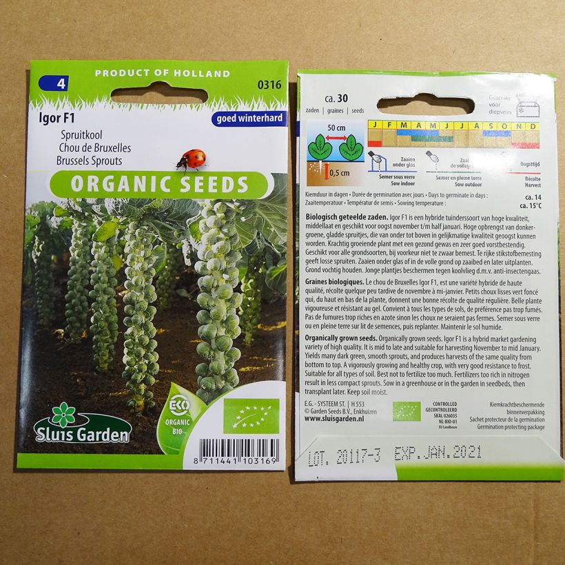 Voorbeeld van een exemplaar van Spruitkool Igor F1 BIO het zakje met 30 zaden zoals geleverd