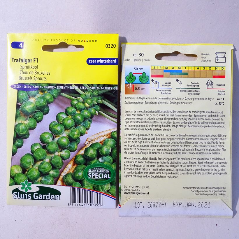 Voorbeeld van een exemplaar van Spruitkool Trafalgar F1 het zakje met 30 zaden zoals geleverd