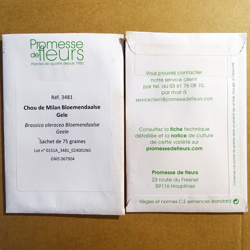 Voorbeeld van een exemplaar van Savooiekool Bloemendaalse Gele het zakje met 75 zaden zoals geleverd