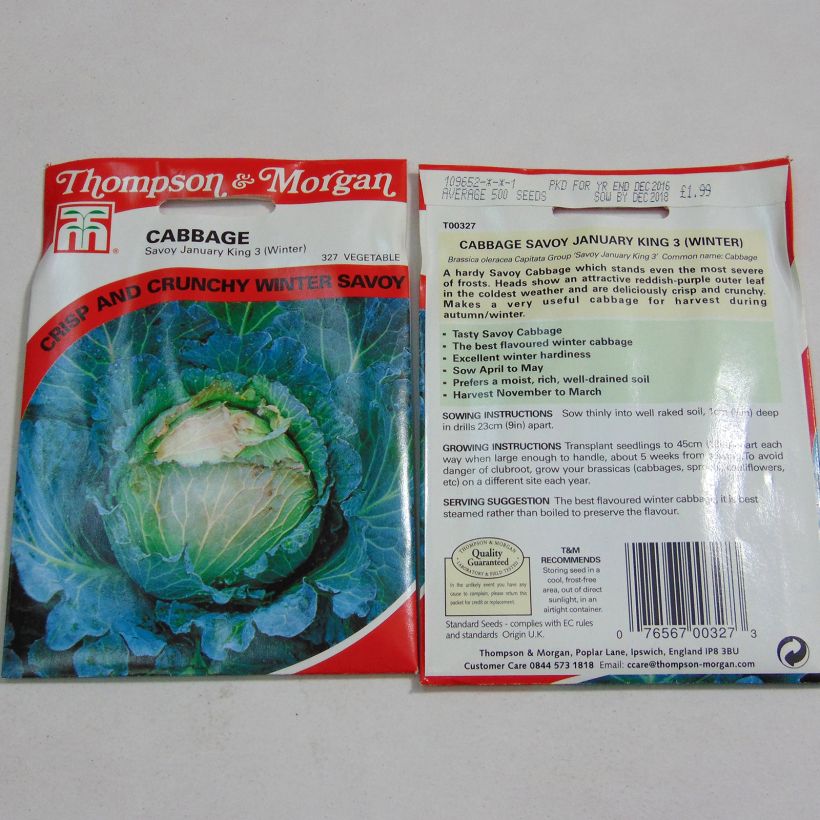 Example of Savooiekool January King 3 het zakje met 500 zaden as you get