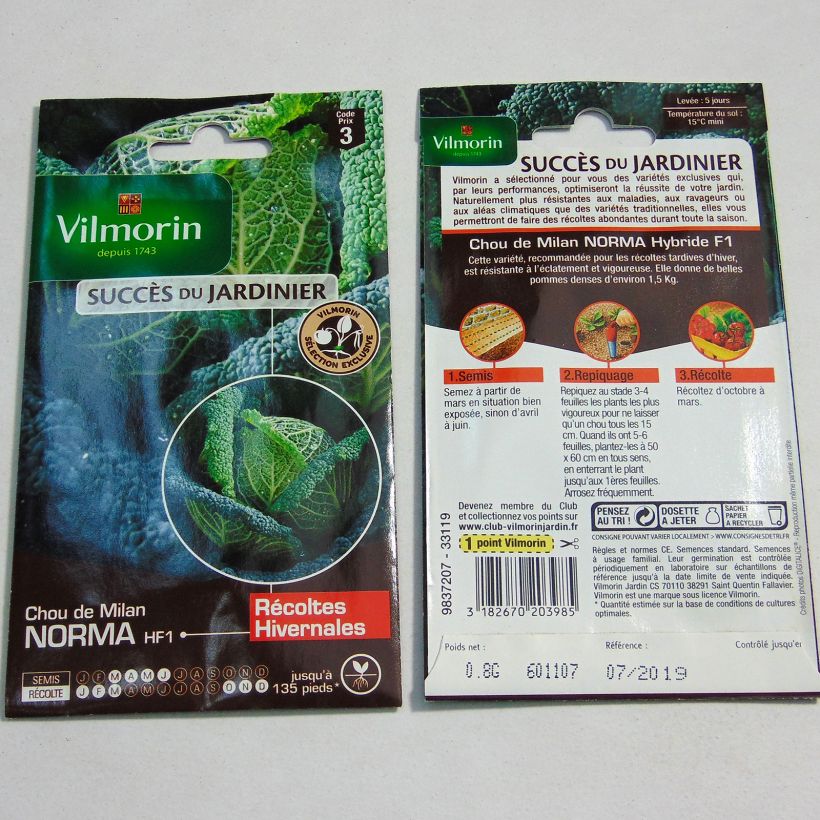 Voorbeeld van een exemplaar van Savooikool Norma F1 - Vilmorin Zaden zoals geleverd