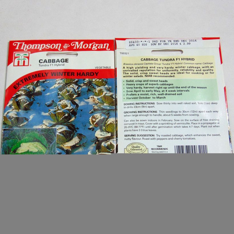 Voorbeeld van een exemplaar van Savooikool Tundra F1 het zakje met 40 zaden zoals geleverd