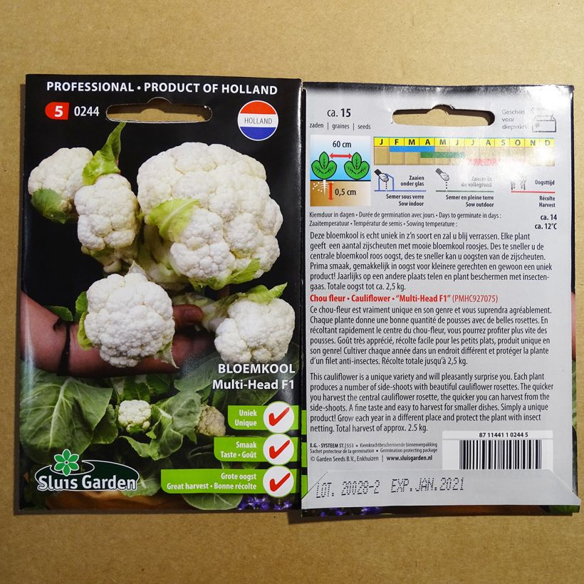 Voorbeeld van een exemplaar van Bloemkool Multi-Head F1 het zakje met 15 zaden zoals geleverd