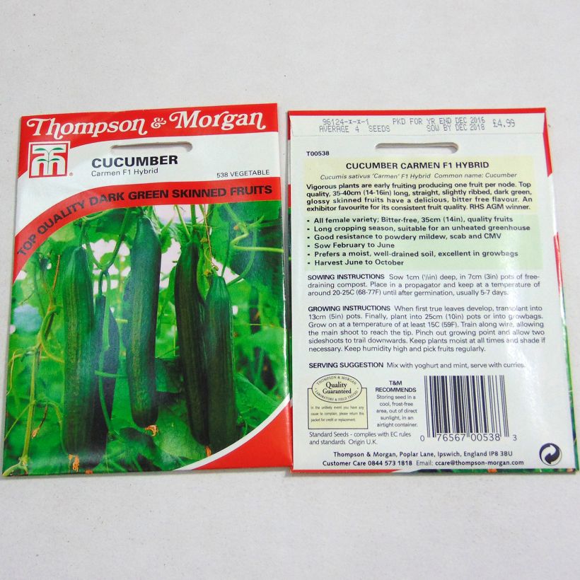 Voorbeeld van een exemplaar van Komkommer Carmen het zakje met 4 zaden zoals geleverd