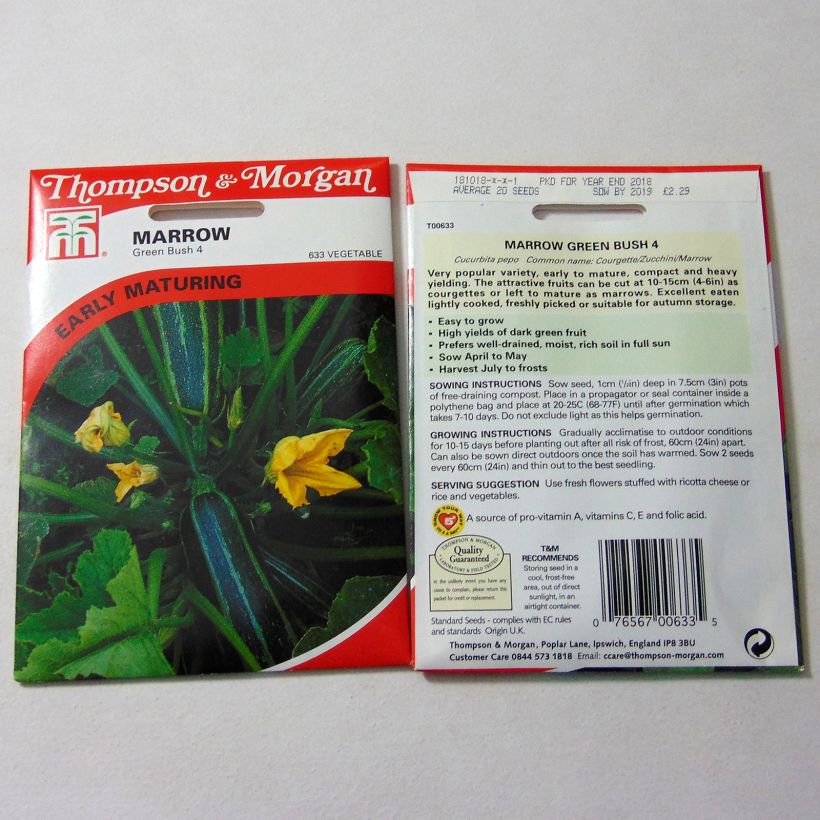 Voorbeeld van een exemplaar van Courgette Green Bush 4 het zakje met 25 zaden zoals geleverd