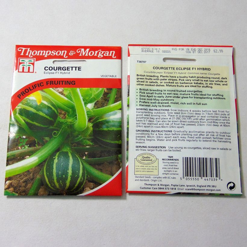Voorbeeld van een exemplaar van Courgette Eclipse F1 het zakje met 10 zaden zoals geleverd