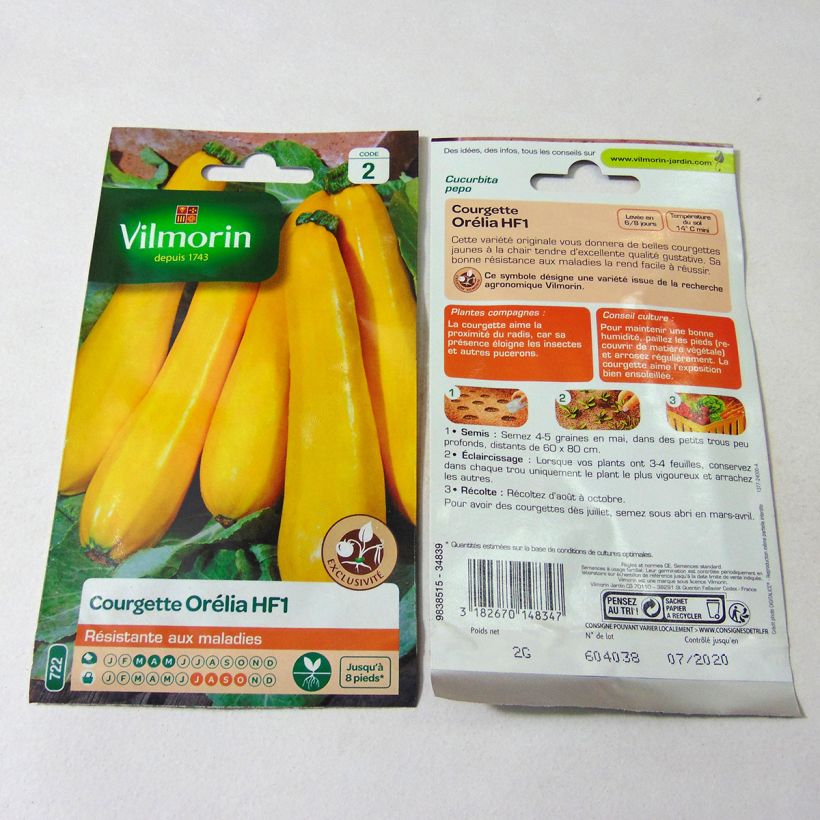 Example of Courgette Orelia F1 - Vilmorin het zakje met 12 zaden (2g) as you get