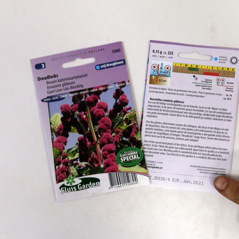 Voorbeeld van een exemplaar van Amaranthus Dreadlocks (zaad) - Kattenstaartamarant het zakje met 500 zaden (0,4g) zoals geleverd