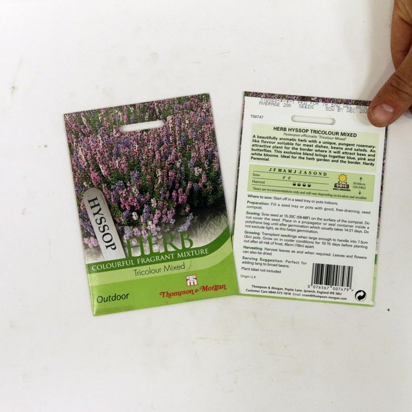 Voorbeeld van een exemplaar van Hyssopus officinalis Tricolour Mixed (zaad) - Hysop het zakje met 200 zaden zoals geleverd