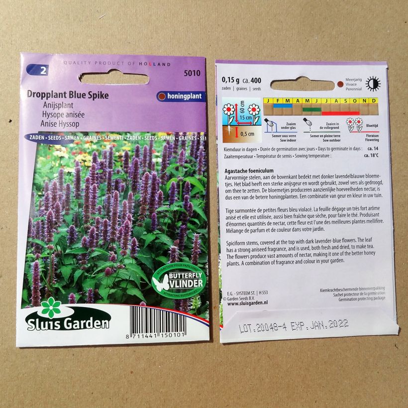 Voorbeeld van een exemplaar van Agastache foeniculum Blue Spike (zaad) - Dropplant het zakje zaden van 0.15 gram zoals geleverd