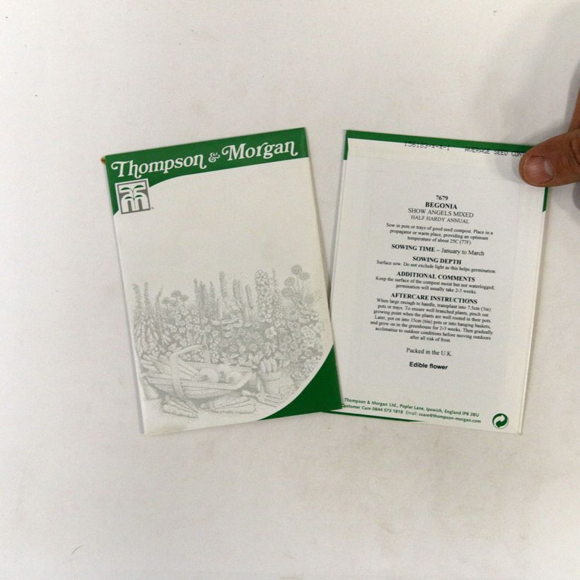 Voorbeeld van een exemplaar van Begonia tuberhybrida pendula Show Angels Mixed F1 (zaad) - Knolhangbegonia het zakje met 40 zaden zoals geleverd