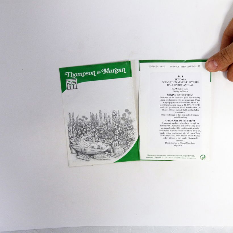 Voorbeeld van een exemplaar van Begonia tuberhybrida Scentsation Mixed F1 (zaad) - Knolbegonia het zakje met 50 zaden zoals geleverd