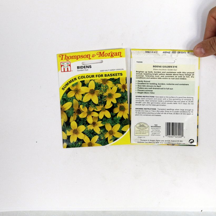 Voorbeeld van een exemplaar van Bidens ferulifolia Golden Eye (zaad) - Gele bidens het zakje met 150 zaden (0,5g) zoals geleverd