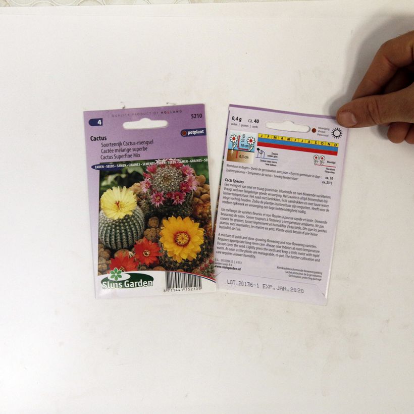 Voorbeeld van een exemplaar van Cactussen Mix (zaad) het zakje met 150 zaden (0,1g) zoals geleverd