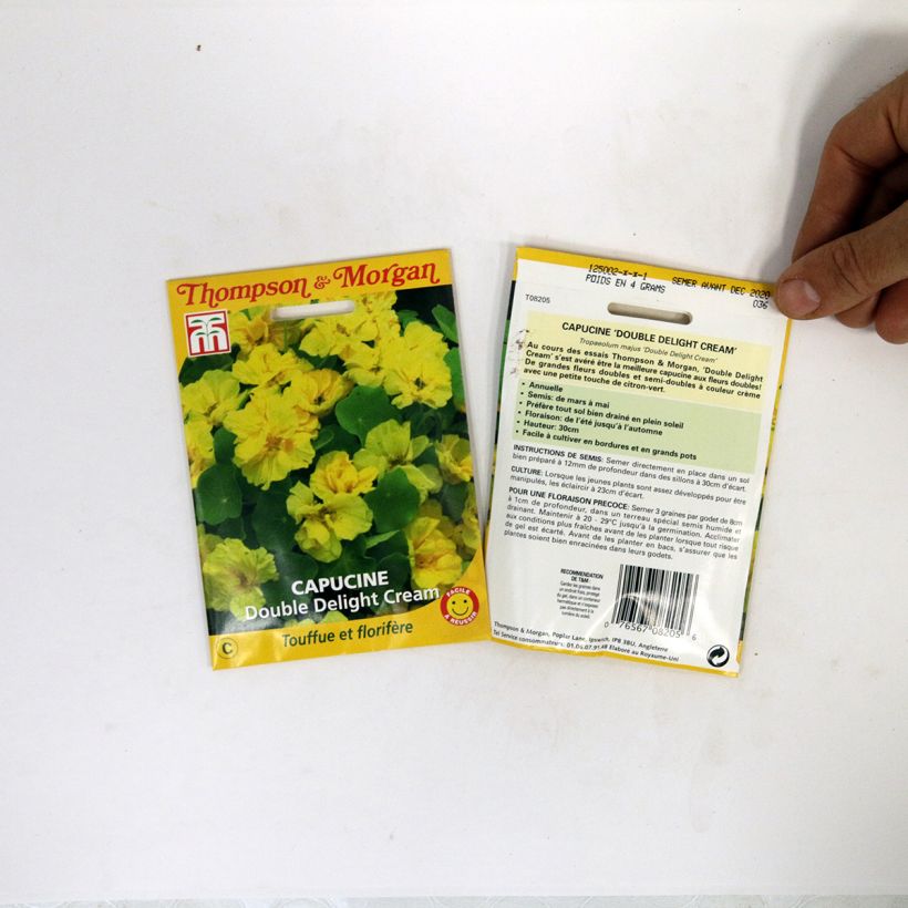 Voorbeeld van een exemplaar van Oost-Indische kers Double Delight Cream (zaad) - Tropaeolum majus het zakje met 3 zaden zoals geleverd