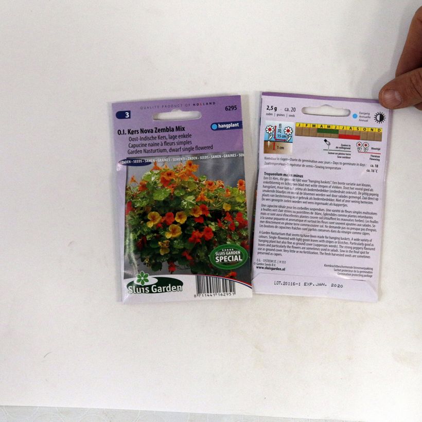 Voorbeeld van een exemplaar van Oost-Indische kers Nova Zembla (zaad) - Tropaeolum majus het zakje met 20 zaden zoals geleverd