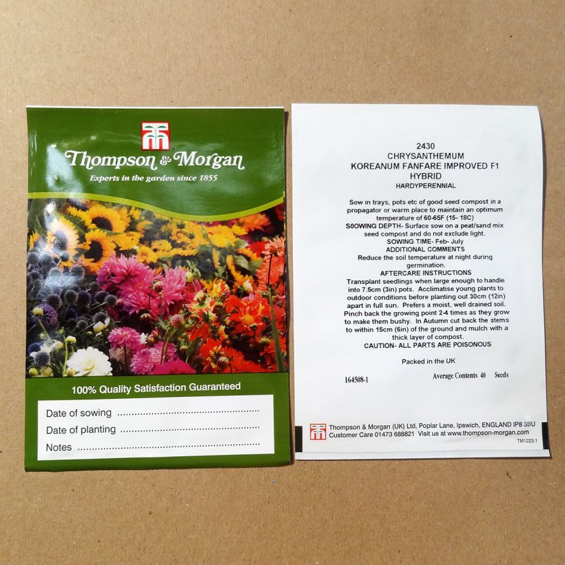 Voorbeeld van een exemplaar van Chrysanthemum grandiflorum Fanfare Improved F1 (zaad) - Chrysant het zakje met 200 zaden (0,1g) zoals geleverd