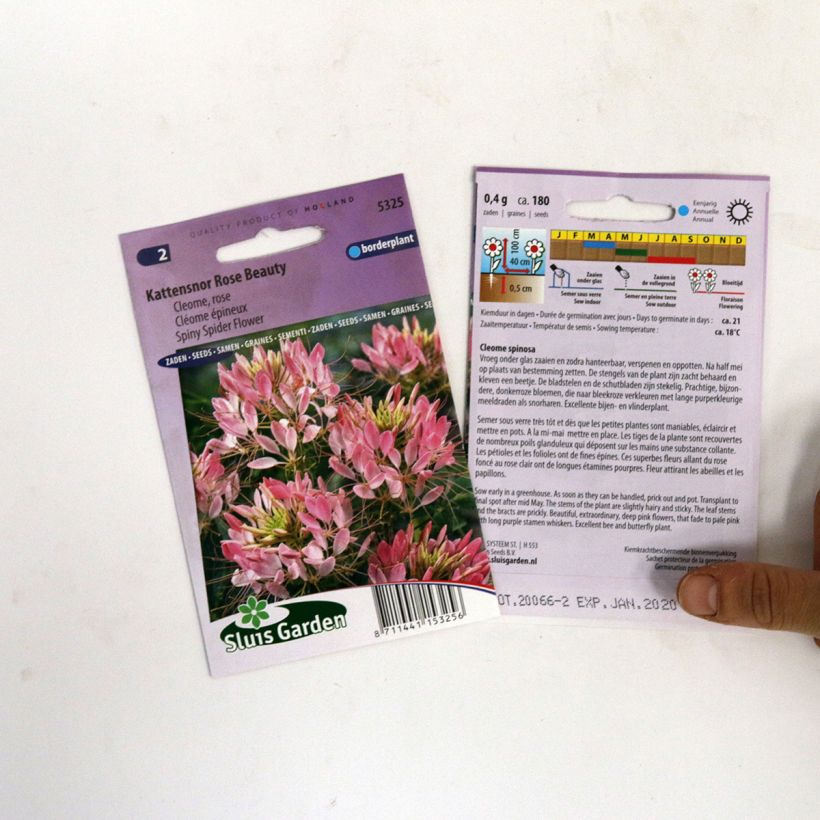Voorbeeld van een exemplaar van Kattensnor Rose Beauty (zaad) - Cleome spinosa het zakje met 180 zaden zoals geleverd