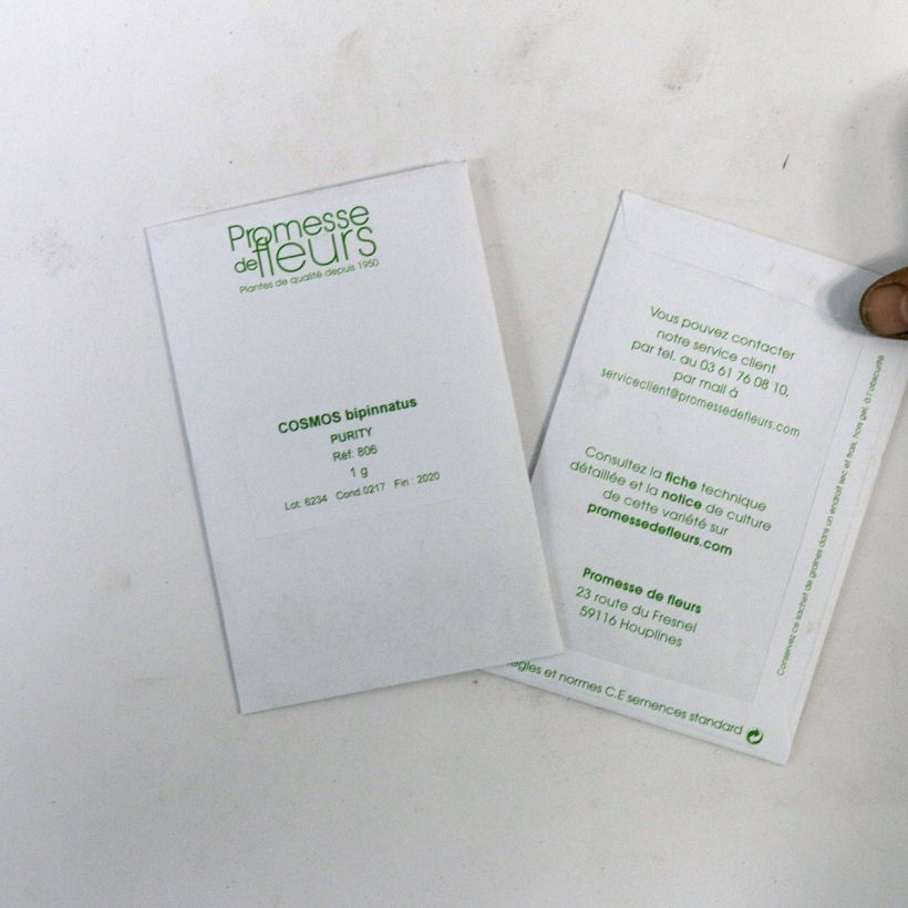 Example of Cosmea Purity (zaad) - Cosmos bipinnatus het zakje met 150 zaden (1g) as you get