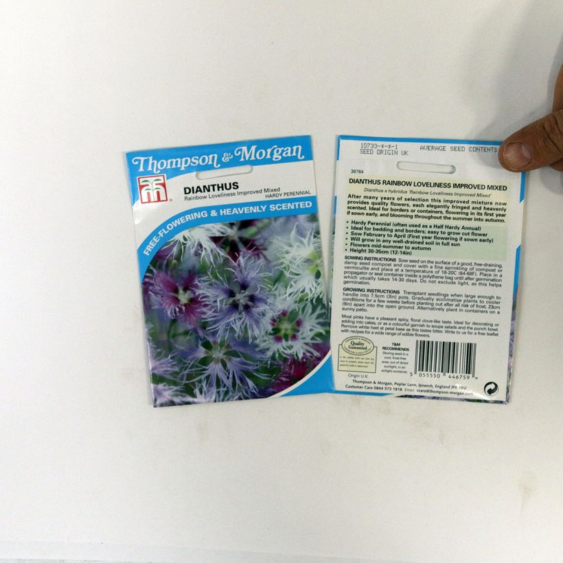 Voorbeeld van een exemplaar van Dianthus Rainbow Loveliness Improved Mixed (zaad) - Anjer het zakje met 30 zaden zoals geleverd