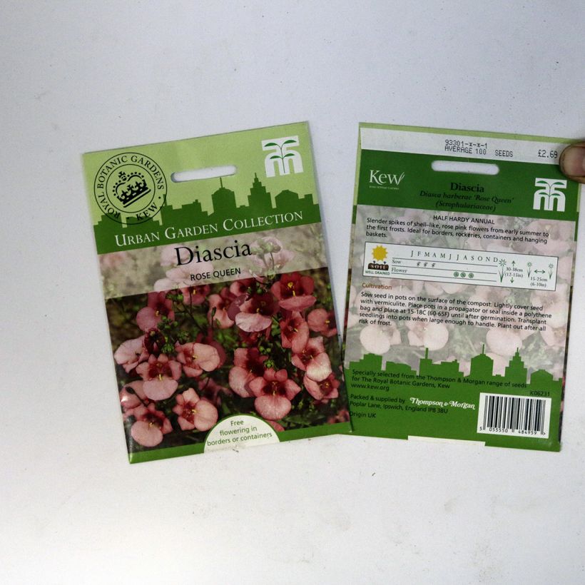 Voorbeeld van een exemplaar van Diascia barberae Roze Queen (zaad) - Elfenspoor het zakje met 550 zaden (0,15g) zoals geleverd
