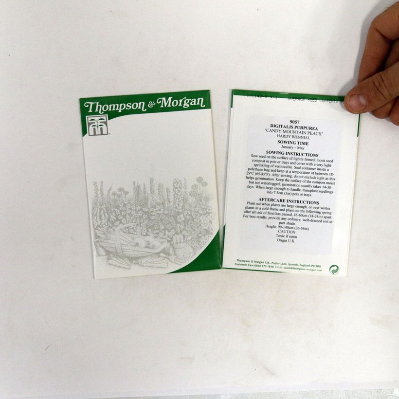 Voorbeeld van een exemplaar van Digitalis purpurea Candy Mountain Peach (zaad) - Vingerhoedskruid het zakje met 40 zaden zoals geleverd