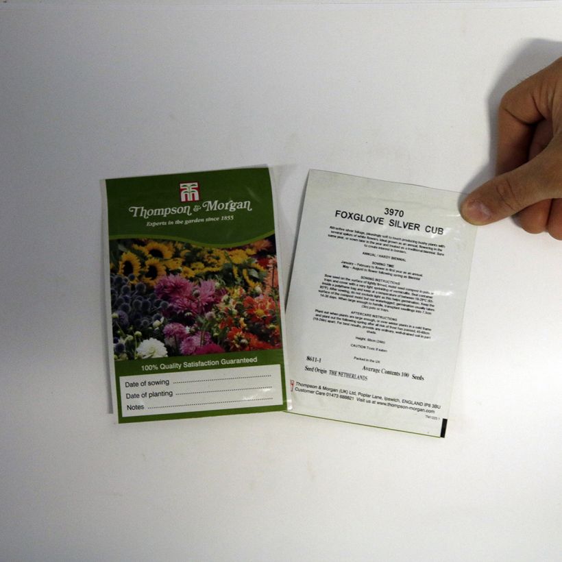 Voorbeeld van een exemplaar van Digitalis purpurea Silver Club (zaad) - Vingerhoedskruid het zakje met 100 zaden zoals geleverd