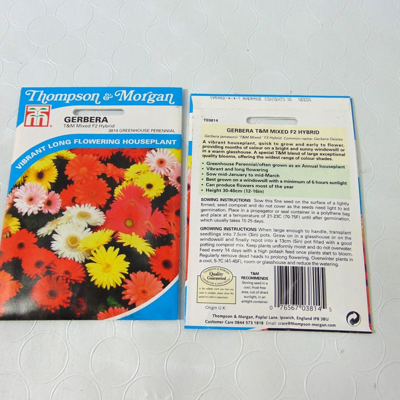 Voorbeeld van een exemplaar van Gerbera jamesonii T&M Mixed F2 (zaad) - Barberton-madeliefje het zakje met 50 zaden (0,1g) zoals geleverd
