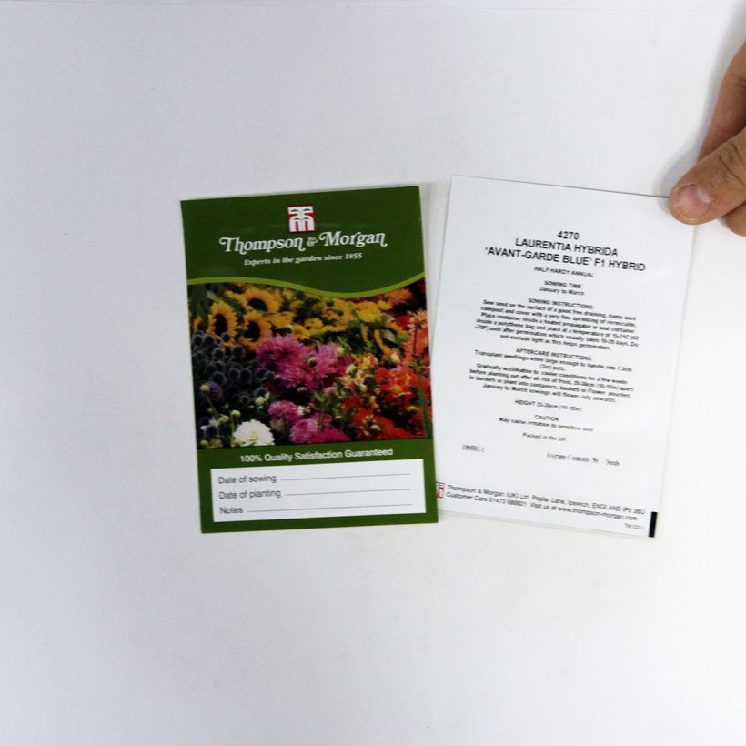 Voorbeeld van een exemplaar van Laurentia Avant-Garde Blue F1 (zaad) het zakje met 50 zaden zoals geleverd