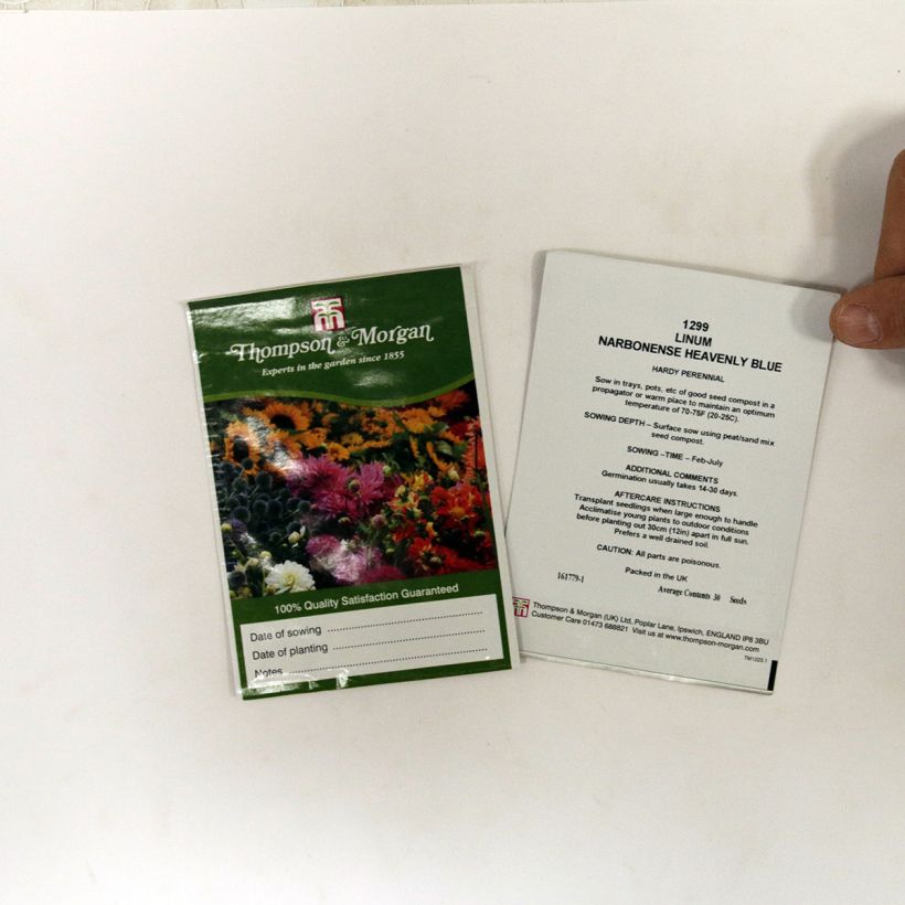 Voorbeeld van een exemplaar van Linum narbonense Heavenly Blue (zaad) - Blauw vlas het zakje met 30 zaden zoals geleverd
