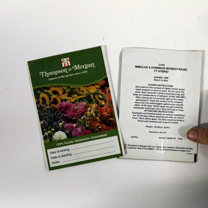 Voorbeeld van een exemplaar van Mimulus Monkey Magic F1 Hybrid (zaad) - Maskerbloem het zakje met 40 zaden zoals geleverd
