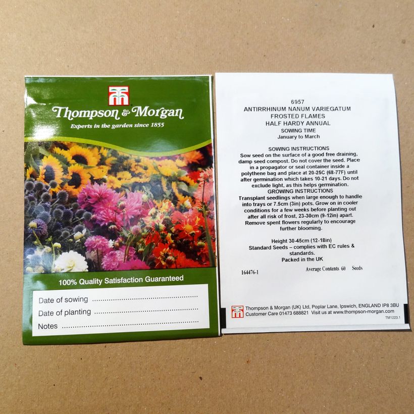 Voorbeeld van een exemplaar van Leeuwenbek Frosted Flames (zaad) - Antirrhinum nanum het zakje met 100 zaden zoals geleverd