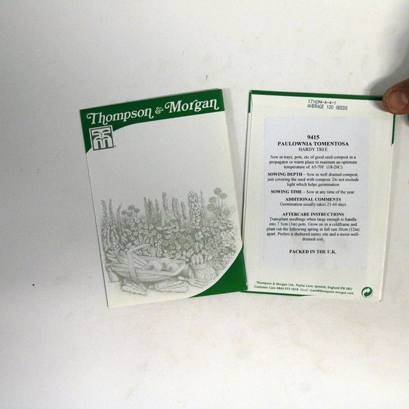 Example of Paulownia tomentosa (zaad) - Anna Paulownaboom het zakje met 100 zaden as you get