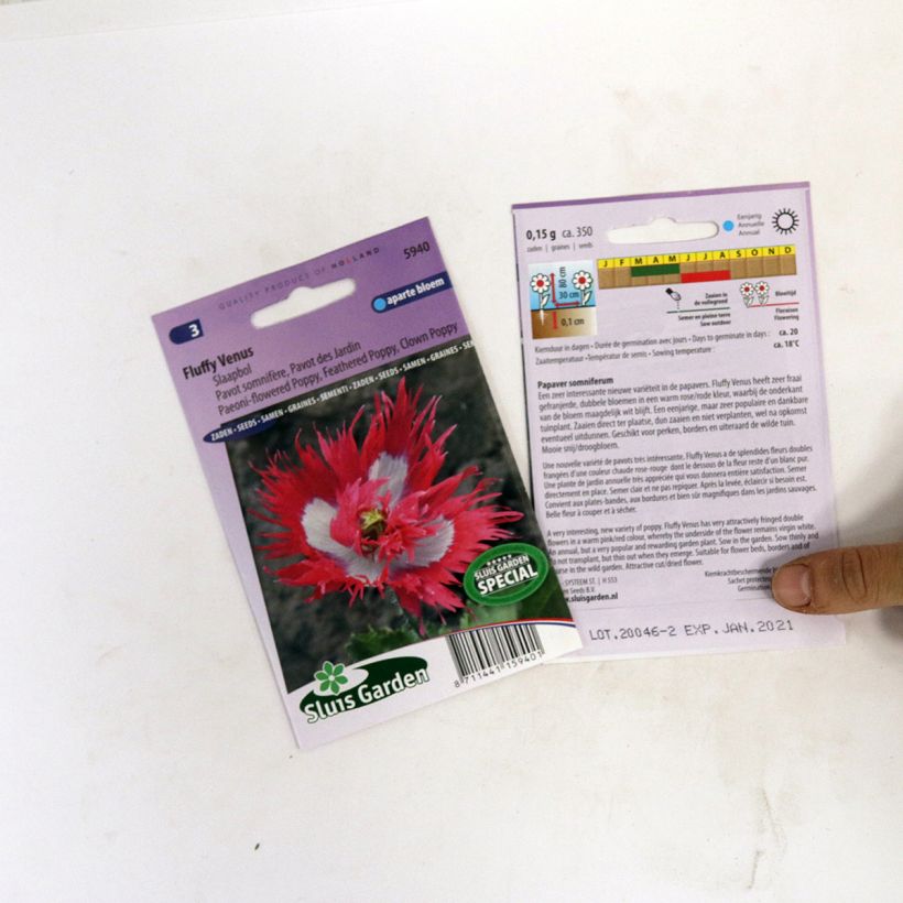 Voorbeeld van een exemplaar van Papaver somniferum Fluffy Venus (zaad) - Eenjarige slaapbol het zakje met 800 zaden zoals geleverd
