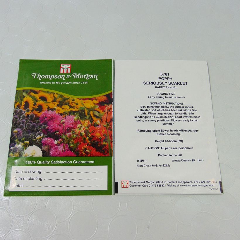 Voorbeeld van een exemplaar van Papaver somniferum Seriously Scarlet (zaad) - Eenjarige slaapbol het zakje met 100 zaden zoals geleverd