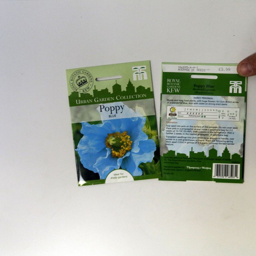 Voorbeeld van een exemplaar van Viola wittrockiana Chalon Supreme Wildberry Mixed (zaad) - Grootbloemige viool het zakje met 20 zaden zoals geleverd