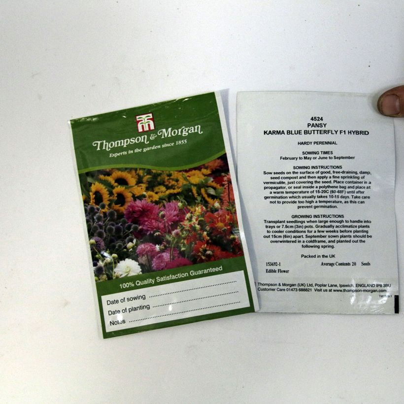 Voorbeeld van een exemplaar van Viola wittrockiana Karma Blue Butterfly F1 (zaad) - Grootbloemige viool het zakje met 20 zaden zoals geleverd