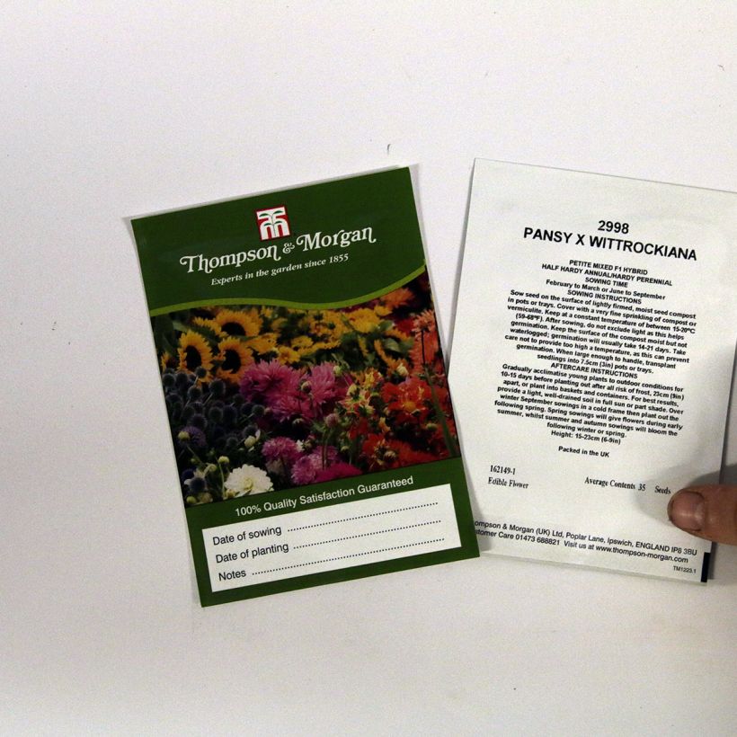 Voorbeeld van een exemplaar van Viola wittrockiana Petite Mixed F1 (zaad) - Grootbloemige viool het zakje met 35 zaden zoals geleverd