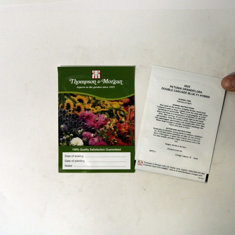 Voorbeeld van een exemplaar van Petunia Cascade Blue Double F1 (zaad) - Hangpetunia het zakje met 30 zaden zoals geleverd