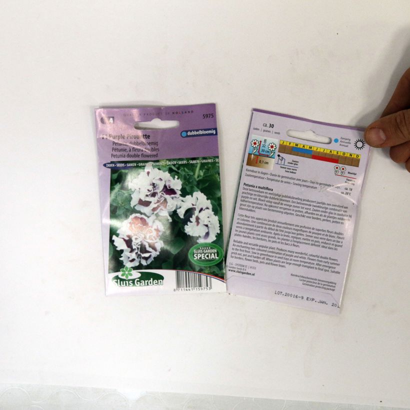 Voorbeeld van een exemplaar van Petunia Purple Pirouette F1 (zaad) - Hangpetunia dubbel het zakje met 30 zaden zoals geleverd