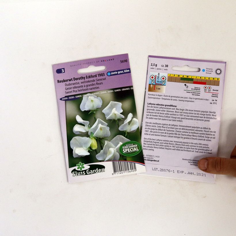Voorbeeld van een exemplaar van Lathyrus odoratus Dorothy Eckford (zaad) - Siererwt het zakje met 30 zaden zoals geleverd