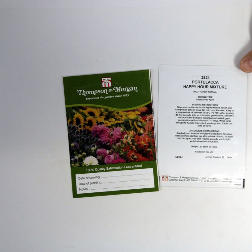 Voorbeeld van een exemplaar van Portulaca grandiflora Happy Hour Mixture (zaad) - Portulakroos het zakje met 80 zaden zoals geleverd