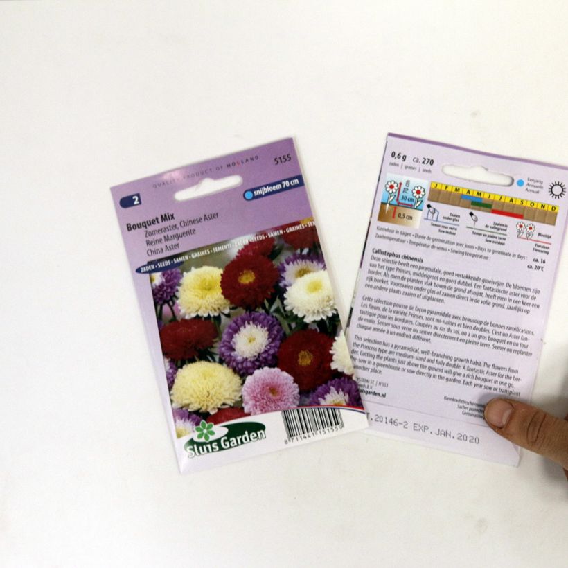 Voorbeeld van een exemplaar van Zomeraster Bouquet (zaad) - Callistephus chinensis het zakje met 300 zaden (0,8g) zoals geleverd