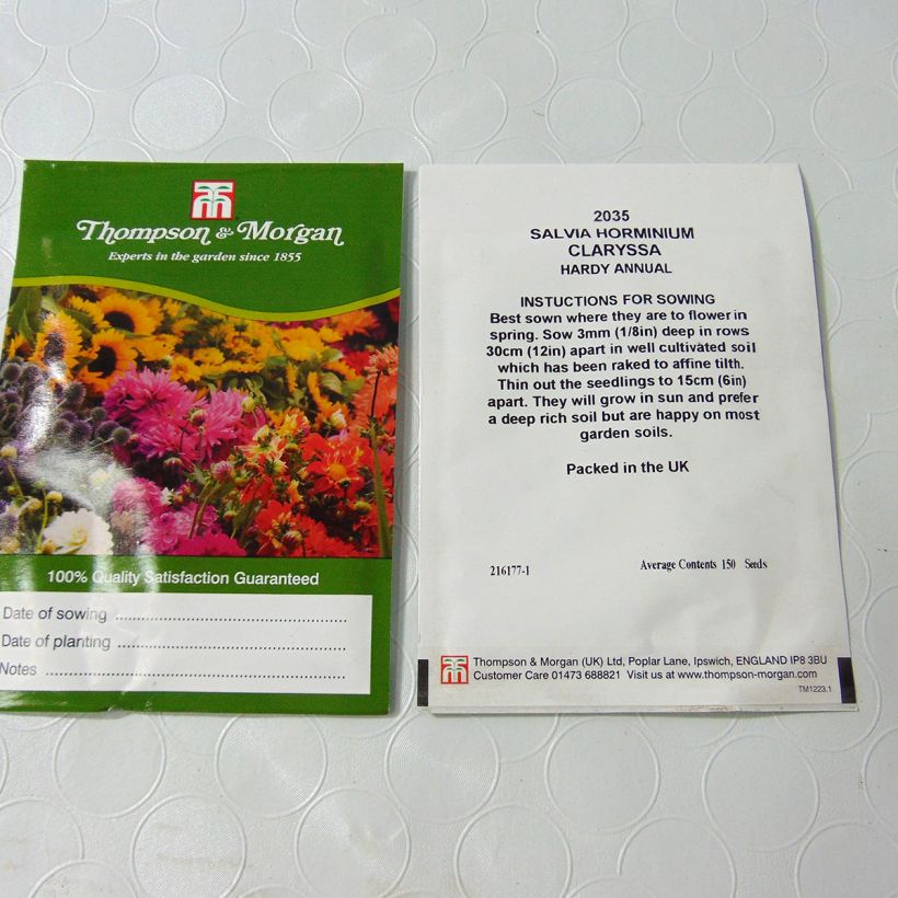 Voorbeeld van een exemplaar van Salvia viridis var. comata Claryssa Mixed - Bonte salie (zaad) het zakje met 150 zaden zoals geleverd