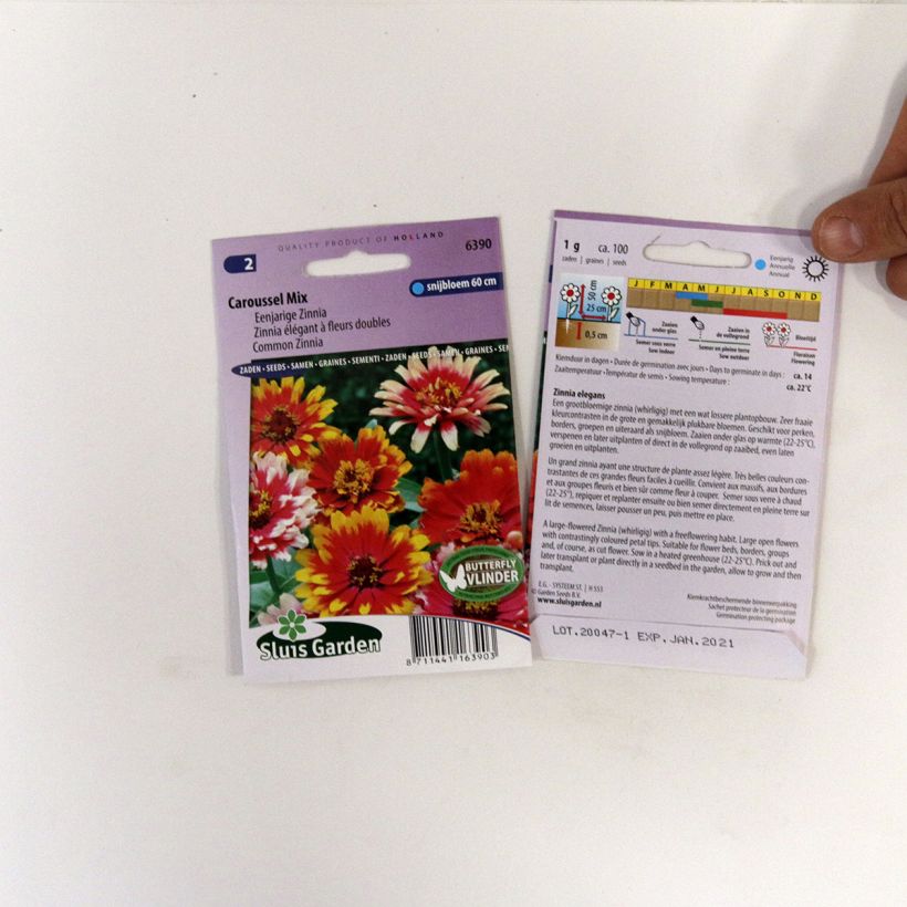 Voorbeeld van een exemplaar van Zinnia elegans Carrousel Mix (zaad) - Zahara-bloem het zakje zaden van 1 gram zoals geleverd