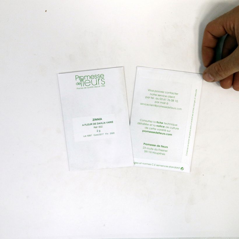 Voorbeeld van een exemplaar van Zinnia elegans Dahlia bloei Mix (zaad) - Zahara-bloem het zakje met 200 zaden (2g) zoals geleverd