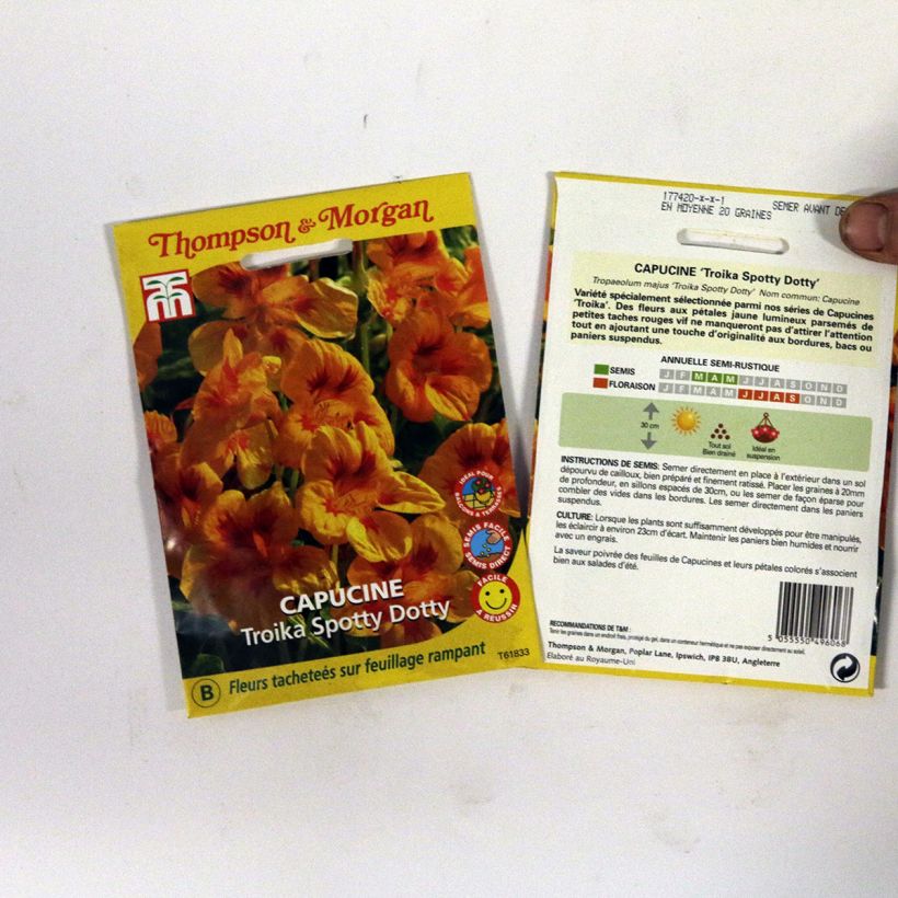 Voorbeeld van een exemplaar van Oost-Indische kers Troika Spotty Dotty (zaad) - Tropaeolum majus het zakje met 20 zaden zoals geleverd