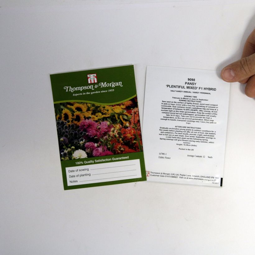 Voorbeeld van een exemplaar van Viola wittrockiana Plentifall Mixed F1 (zaad) - Grootbloemige viool het zakje met 12 zaden zoals geleverd