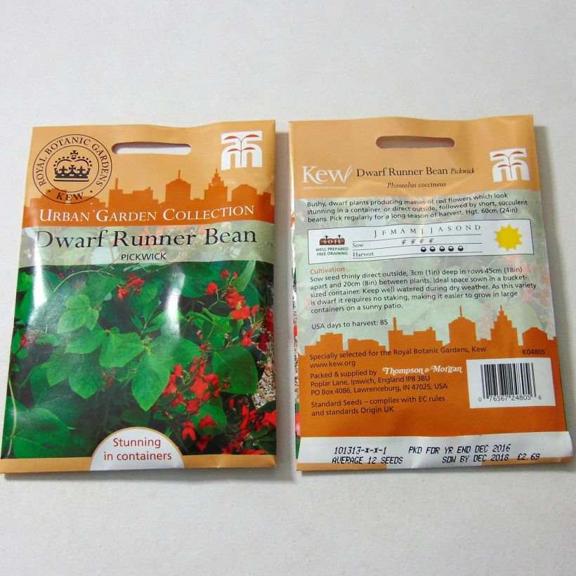 Voorbeeld van een exemplaar van Pronkboon Pickwick het zakje met 12 zaden zoals geleverd