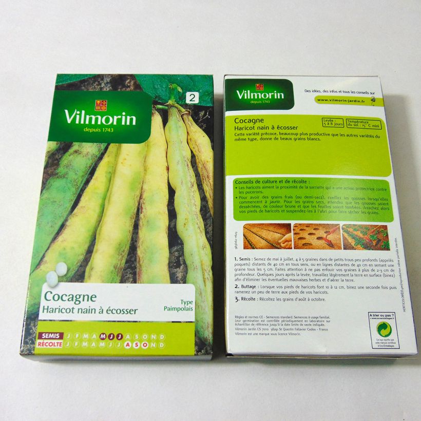 Voorbeeld van een exemplaar van Stamdroogboon Cocagne - Vilmorin het zakje met 400 zaden (200g) zoals geleverd